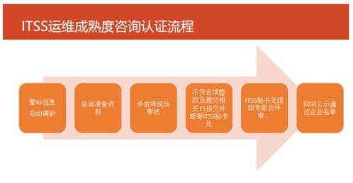 ITSS信息技術服務標準知識大全 信息技術咨詢服務詳解
