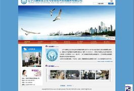 服務(wù)行業(yè)網(wǎng)站建設(shè)與設(shè)計(jì) 信息技術(shù)咨詢(xún)服務(wù)的實(shí)踐與案例